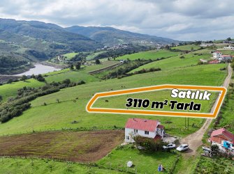 GÖL VE DOĞA MANZARALI MÜSTAKİL TAPULU 3110M TARLA